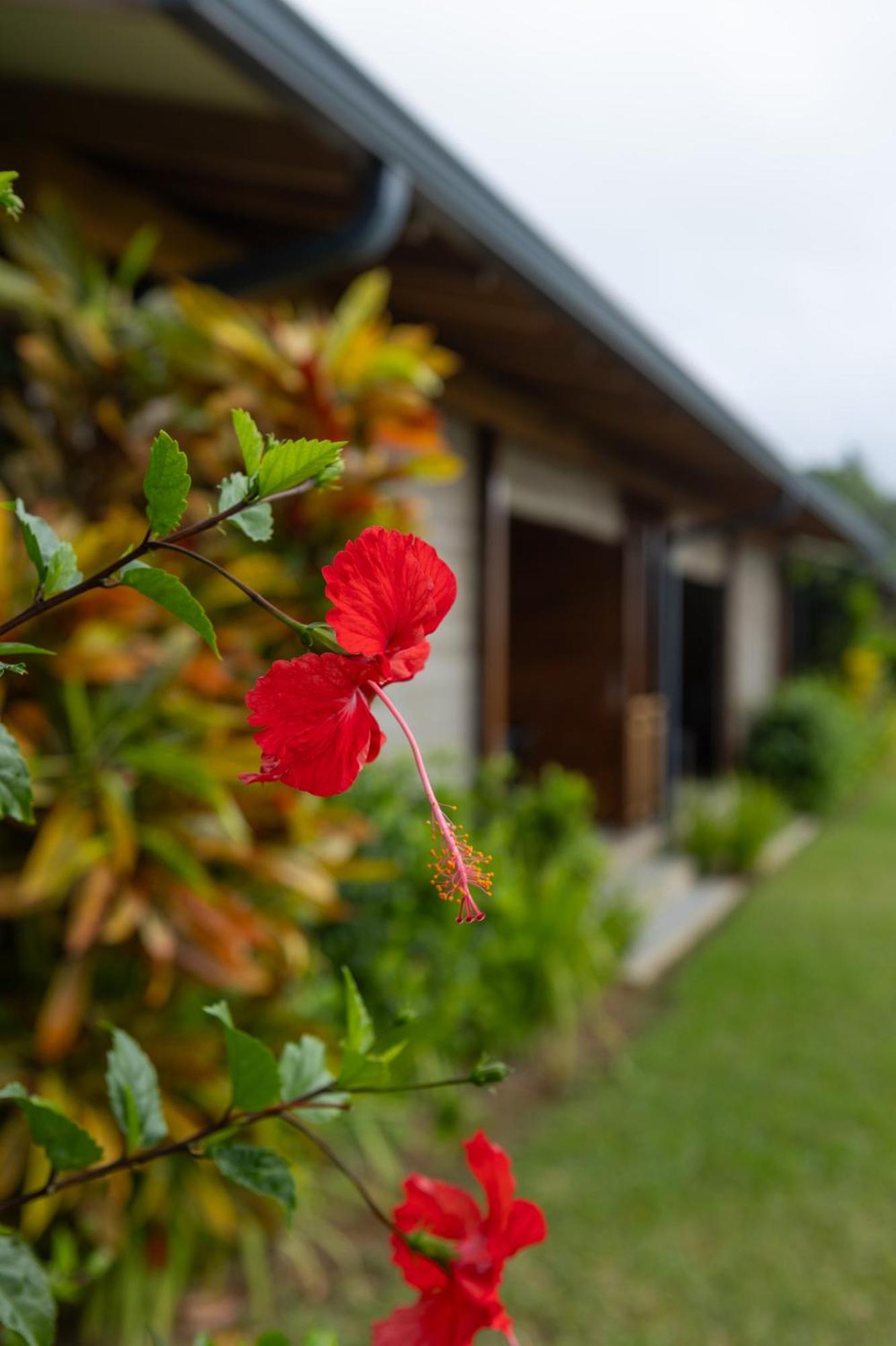 Paradise Chalets Yoga & Wellness Takamaka Exterior foto